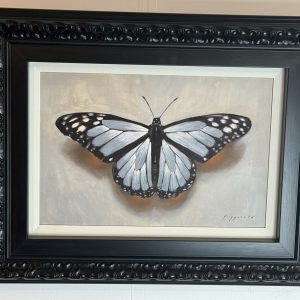 Donovan Fitzgerald "Monarch Butterfly"